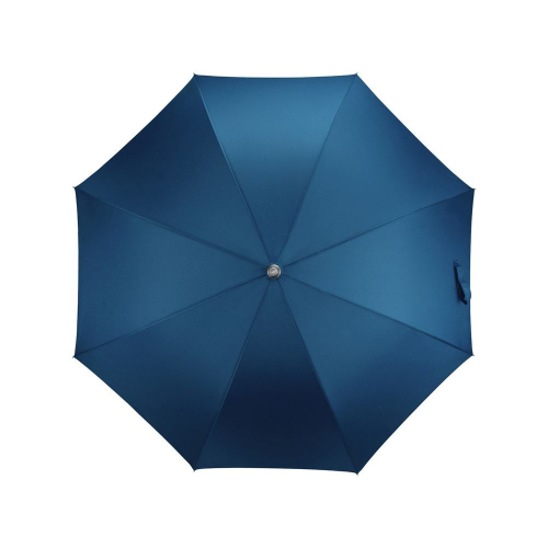 Изображение Зонт трость мужской Дождь синий