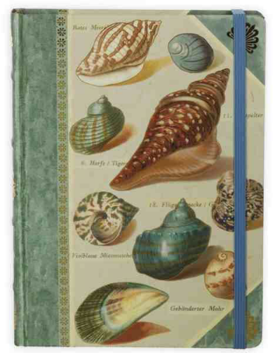 Изображение Книга для записей Shells