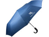 Зонт мужской складной William Lloyd, синий