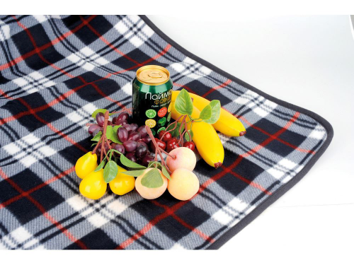 Изображение Плед для пикника непромокаемый Шотландка, 100*150 см
