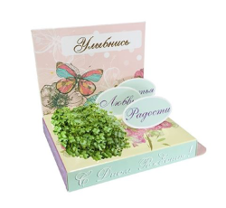 Подарочный набор С Днём рождения: живая открытка Бабочка