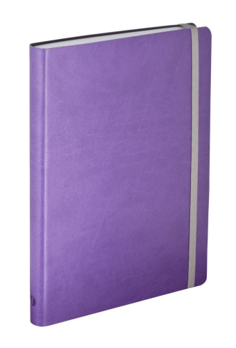 Изображение Ежедневник Vivien, недатированный, фиолетовый