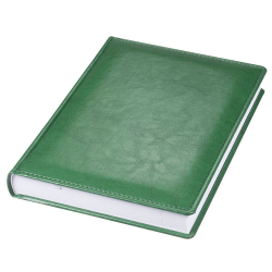 Ежедневник Nebraska, датированный на 2019 год, зеленый