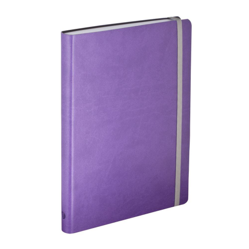 Изображение Ежедневник Vivien, датированный на 2019 год, фиолетовый