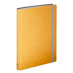 Ежедневник Vivien, датированный на 2019 год, желтый