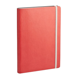 Ежедневник Vivien, датированный на 2019 год, красный