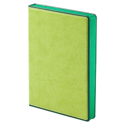 Ежедневник FreeNote, датированный на 2019 год, зеленый