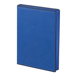 Ежедневник FreeNote, датированный на 2019 год, синий