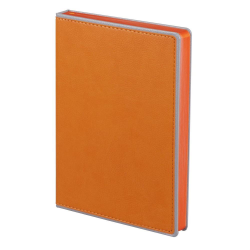 Ежедневник FreeNote, датированный на 2019 год, оранжевый