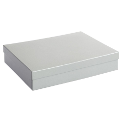 Подарочная коробка Giftbox, серебристая, 25,5*20 см
