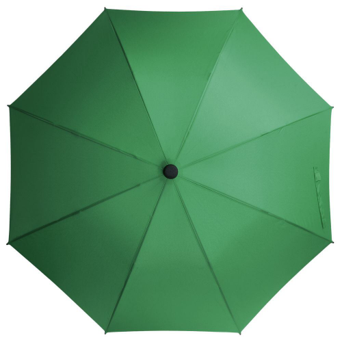 Изображение Зонт трость Hogg Trek, зеленый