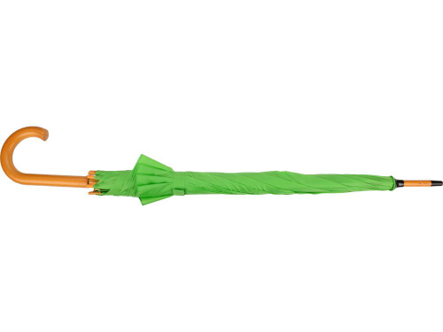 Изображение Зонт трость Радуга, полуавтомат, зеленое яблоко