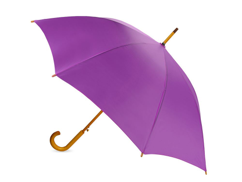 Изображение Зонт трость Радуга, полуавтомат, фиолетовый