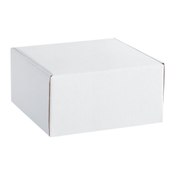 Коробка Medio, белая, 20*20 см