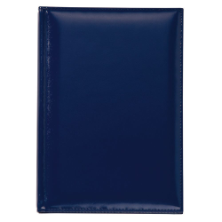 Ежедневник Luxe, датированный на 2019 год, синий