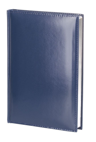 Изображение Ежедневник Luxe, датированный на 2019 год, синий