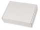 Изображение Коробка подарочная Zand, 23,5*17,5 см, белая