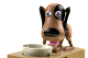Изображение Интерактивная копилка Голодный пёс