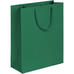 Пакет Ample, зеленый, 23*28 см
