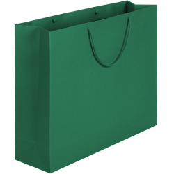 Пакет Ample, зеленый, 43*35 см