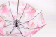 Изображение Женский зонт-трость Zest Розовые лилии