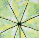 Изображение Зонт женский Zest листья, автомат, 4 сложения