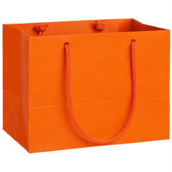 Пакет Ample, 17*13 см, оранжевый
