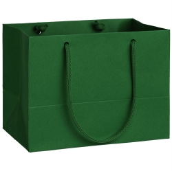 Пакет Ample, 17*13 см, зеленый