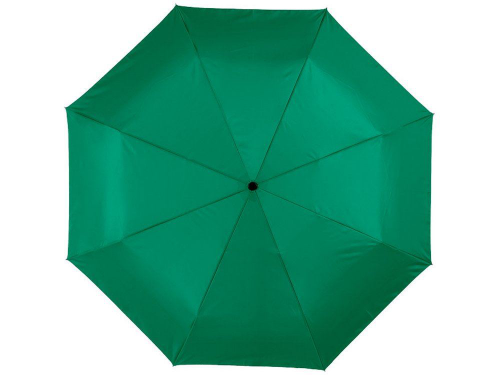 Изображение Зонт складной Alex зеленый