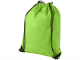 Изображение Рюкзак-мешок Evergreen зеленое яблоко