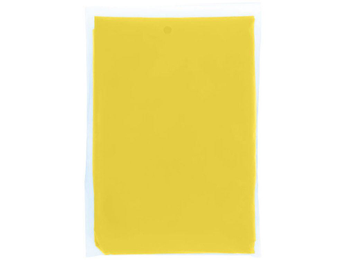 Изображение Дождевик с капюшоном Ziva, желтый прозрачный
