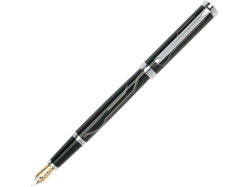 Ручка перьевая Evolution серебристо-черная