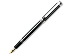 Ручка перьевая Evolution черная
