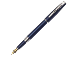 Ручка перьевая Secret Business синяя