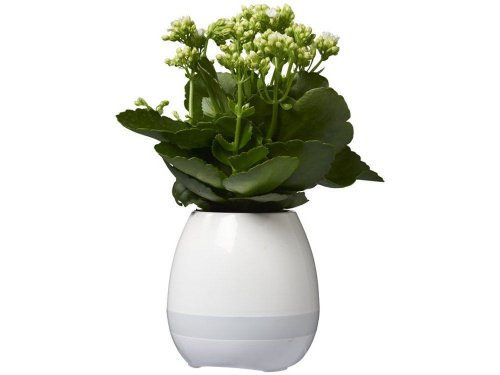 Изображение Динамик Green Thumb Flower Pot с Bluetooth®