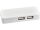 Изображение USB Hub Grid с двойными кабелями белый