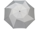 Изображение Зонт складной Pinwheel светло-серый
