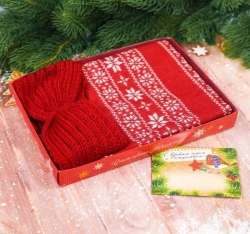Подарочный набор: теплый шарф и повязка с конвертом "Тепла и уюта в новом году!"