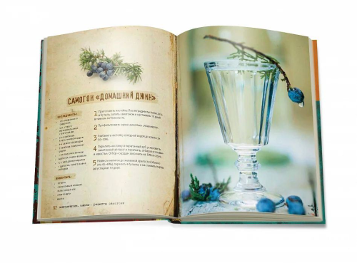 Изображение Книга «Домашний самогон, настойки, наливки и другие любимые напитки»