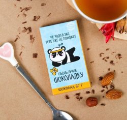 Шоколад молочный «Не ходи в зал тебе уже не поможет» панда, 27 г
