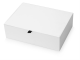 Изображение Коробка подарочная White, 30*21 см