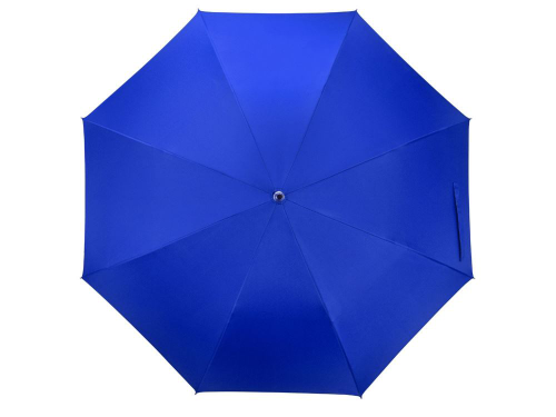 Изображение Зонт двухсторонний трость «Silver Color», полуавтомат, синий
