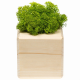 Изображение Декоративная композиция GreenBox Wooden Cube, зеленый
