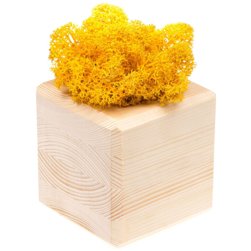 Изображение Декоративная композиция GreenBox Wooden Cube, желтый