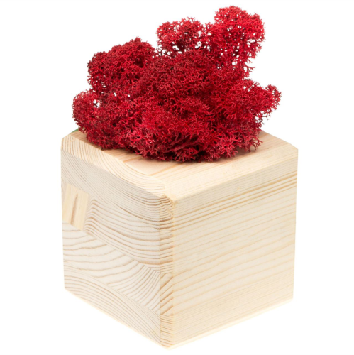 Изображение Декоративная композиция GreenBox Wooden Cube, красный