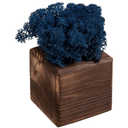 Декоративная композиция GreenBox Fire Cube, синий