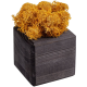 Изображение Декоративная композиция GreenBox Black Cube, желтый