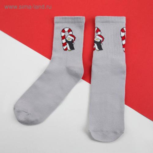 Изображение Набор женских носков "Пингвин"