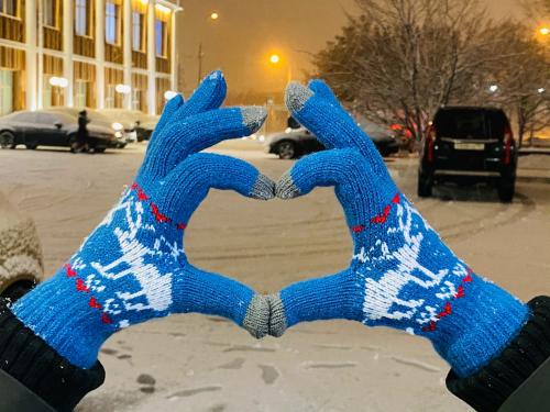 Изображение Сенсорные перчатки с оленями, синие